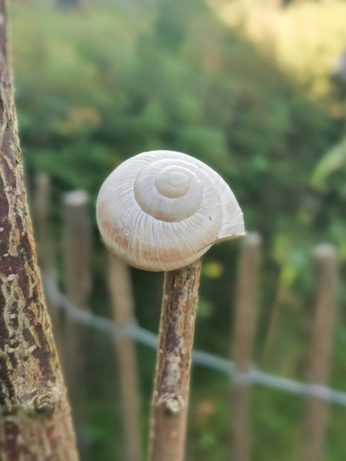 Ferienglueck An Der Nordsee Buche Deine Erdgeschoss-Ferienwohnung Mit Kamin Terrasse Und Eingezaeuntem Garten Fuer Unvergessliche Auszeiten Altfunnixsiel 외부 사진