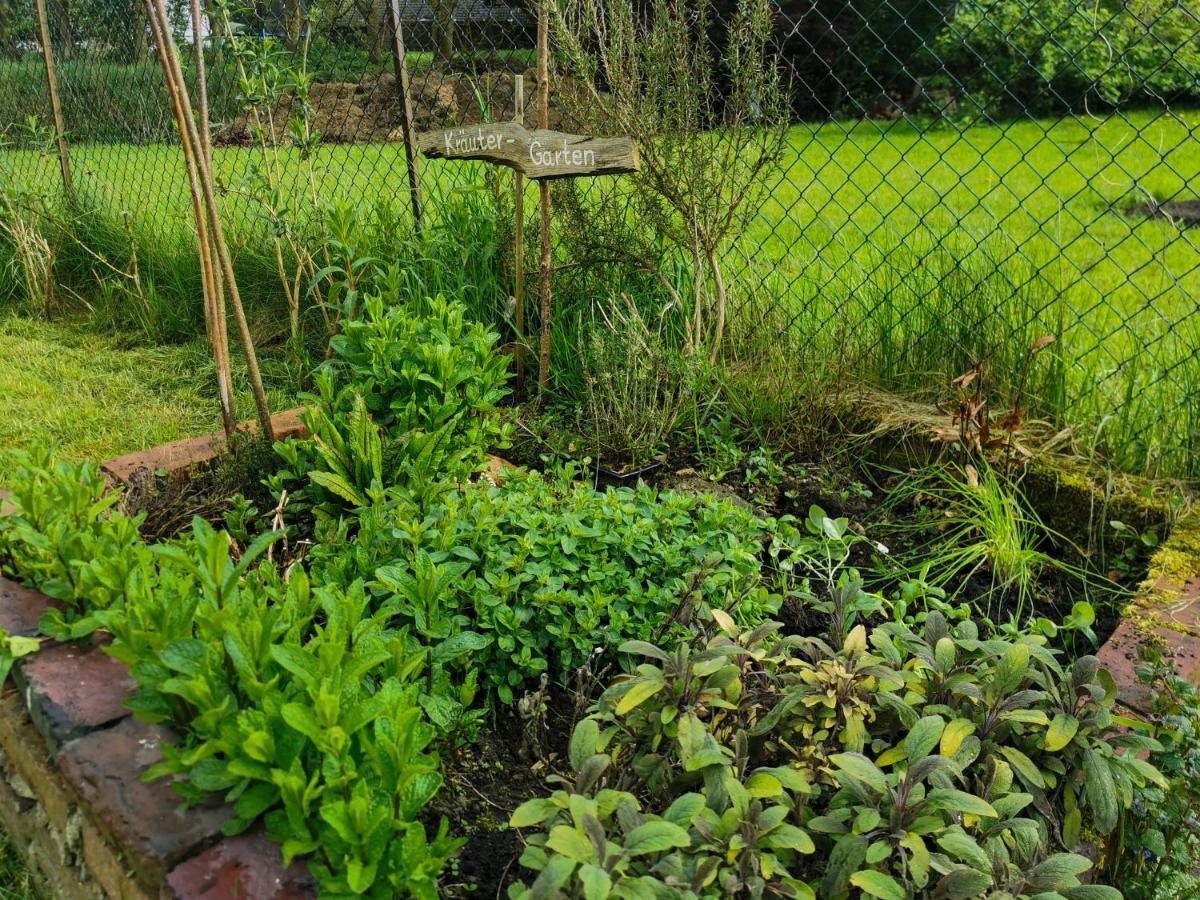 Ferienglueck An Der Nordsee Buche Deine Erdgeschoss-Ferienwohnung Mit Kamin Terrasse Und Eingezaeuntem Garten Fuer Unvergessliche Auszeiten Altfunnixsiel 외부 사진